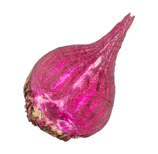 Beet info-b